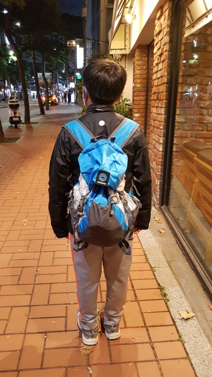 아마존닷컴에서 대박난 와일드혼(Wildhorn) 초경량여행용백팩  이거 완전 최고!