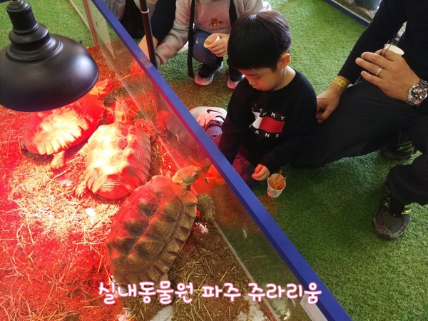 실내동물원 파주 쥬라리움 아이와 다녀왔어요