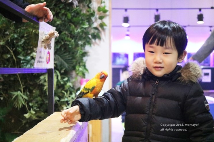 실내 갈만한곳 하남 쥬라리움 실내동물원 키즈카페까지