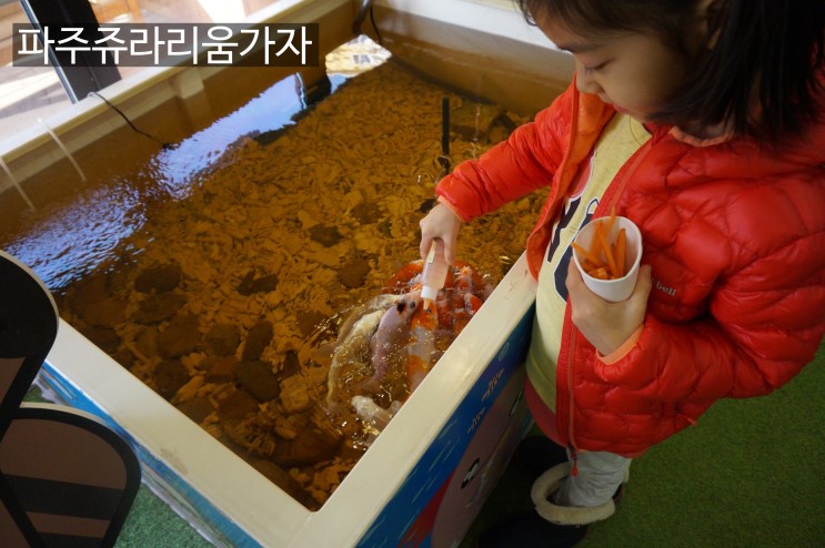 이색데이트 즐기기도 좋고 아이와가도 좋은 파주쥬라리움 가보자