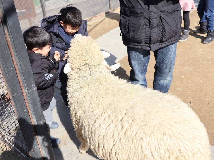 고양시 아이와 가볼만한 곳, 일산 쥬라리움