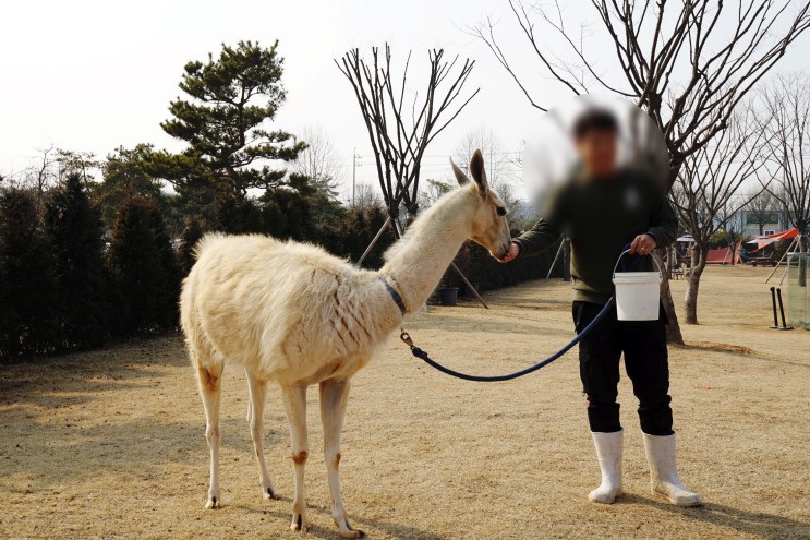 일산 실내동물원 쥬라리움 이색데이트코스로 무조건 찜