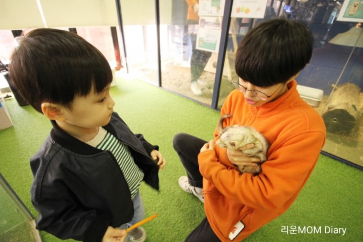 아이와갈만한곳 실내동물원 쥬라리움 파주 프로방스에 생겼네요