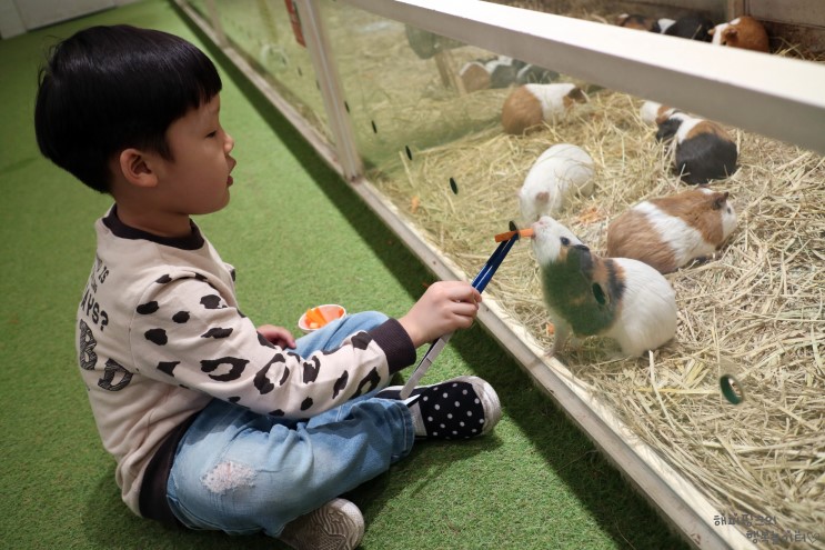 아이와갈만한곳 쥬라리움 일산 실내동물원 먹이체험 재미있어요
