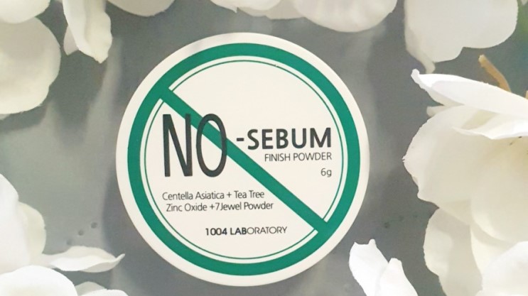 노세범파우더 추천 , 센텔라 노세범 피니쉬 파우더 / 유분제거, 피지제거