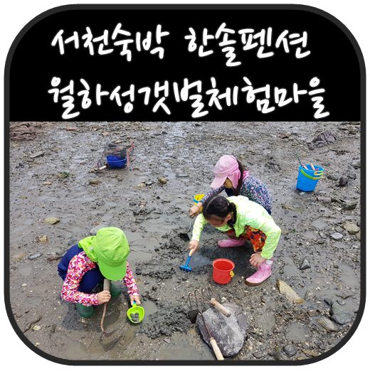 서천숙박 월하성갯벌체험마을 한솔펜션