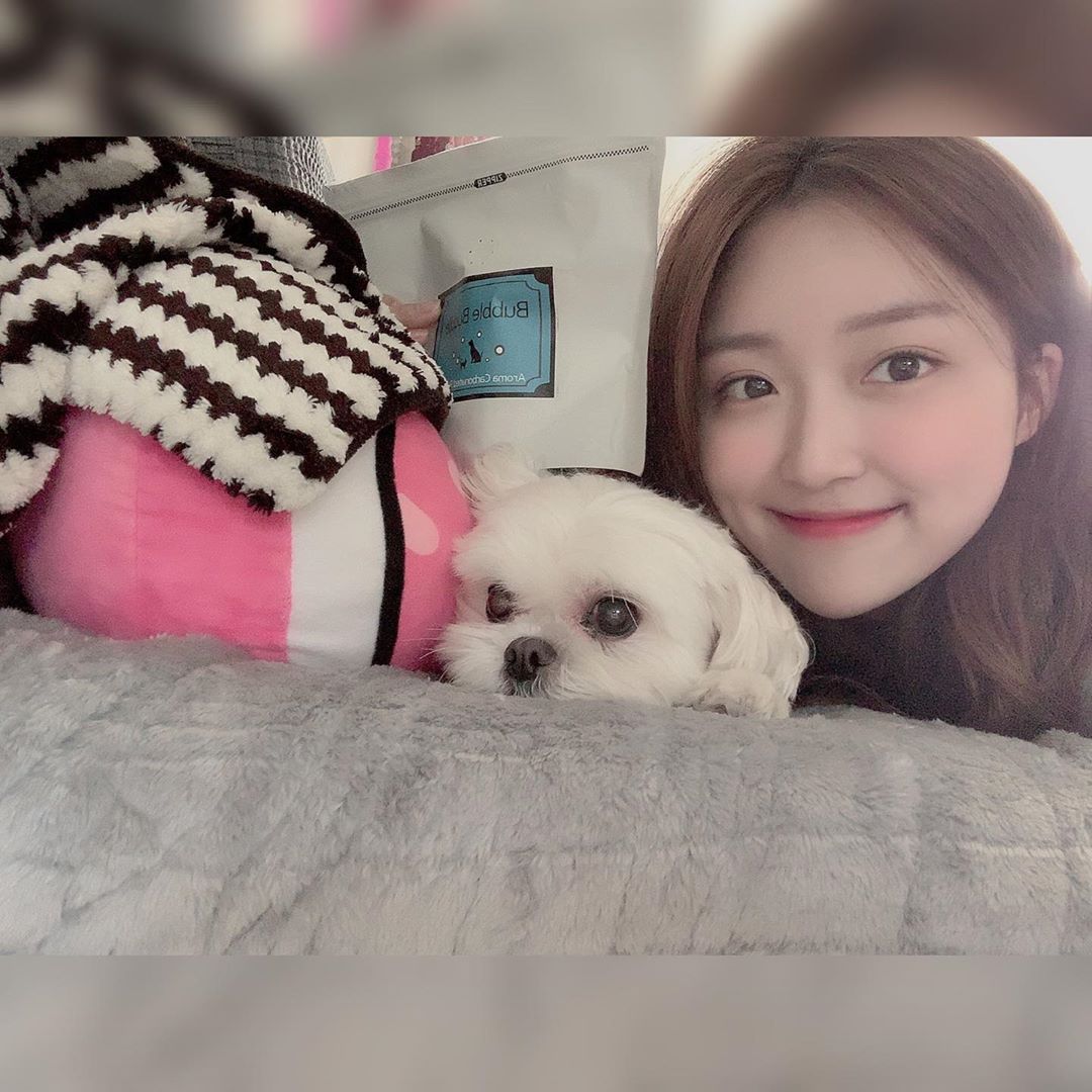 조원 on Instagram: “울애기 스파했어용🐾 υ´• ﻌ •`υ _ #강아지입욕제  내 손도 부들부들해졌당  입욕제 냄새가 좋은지 우리 쪼랭이가 계속 냄새맡았다🐾 바보같은 우리 쪼똥이귀여오 U・ﻌ・U . . . ଘ(੭*ˊᵕˋ)੭*…”