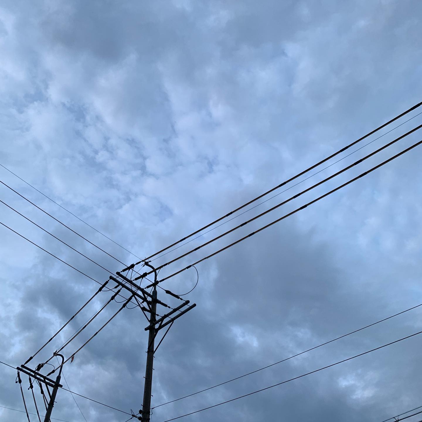 콘텐츠