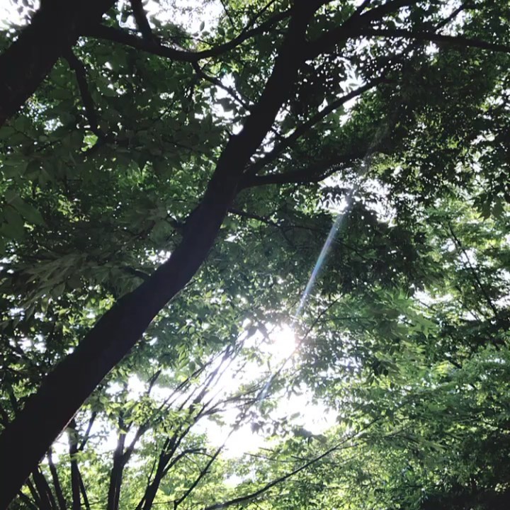 여행🌱