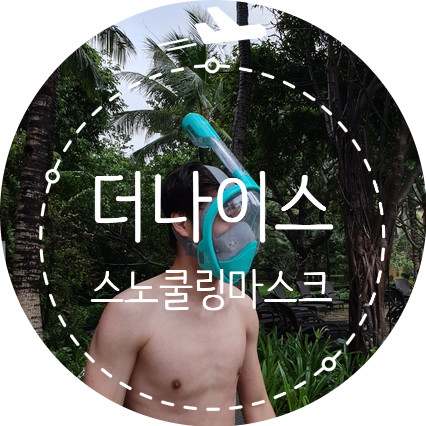 휴양지 물놀이 필수템 더나이스 스노쿨링 마스크 추천