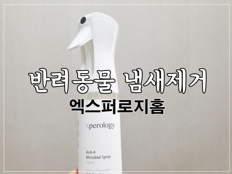 반려동물냄새제거 , 엑스퍼로지 홈스프레이 로 관리!