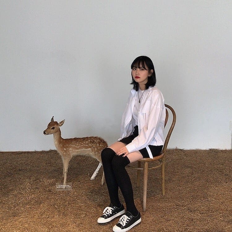 콘텐츠
