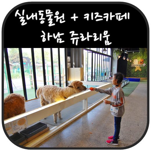 실내동물원 하남 쥬라리움은  시간제한 없어 더 좋아요