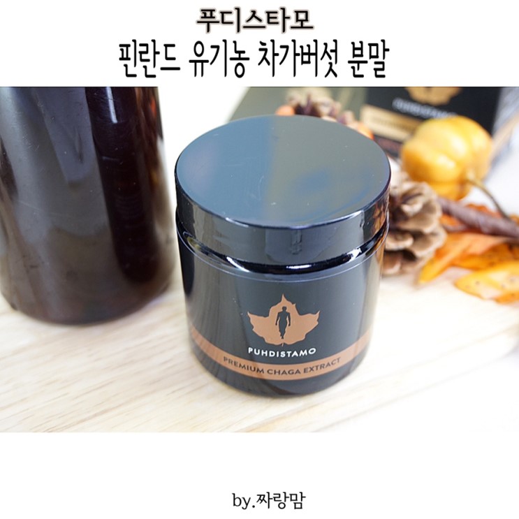 유기농 차가버섯 분말 푸디스타모 먹는방법 효능 총정리