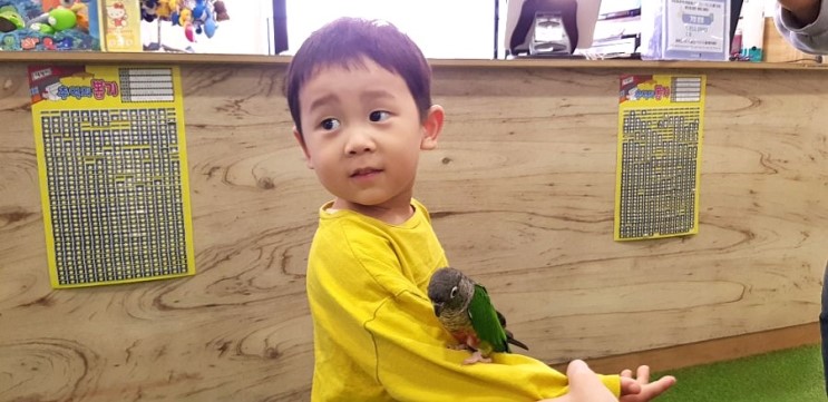 파주 아이와갈만한곳/키즈카페가 있는 실내동물원 쥬라리움