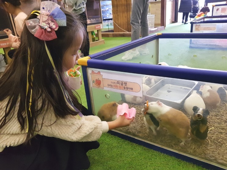 파주 아이랑 가볼 만한 곳 : 이색동물카페 쥬라리움