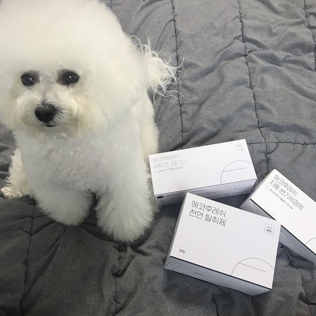 ᗪᑌᗷᑌGᖇᗩᗰ on Instagram: “누나 청소좀 하자!! . . 요고야?.?💙 💙안전하고 깨끗한 청소!#에코후레쉬 💙이제는 락스청소 그만!!!#에코후레쉬 💙분명 멍님들 씻기는데 이 집을 씻을수도 없고....#에코후레쉬 💙 수압 안좋은집 멍님들 응아 변기에서 안불려 내리면 막히죠?…”