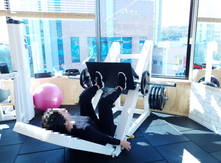 신현동헬스장 에서 가정동pt 받아보려고 해요~