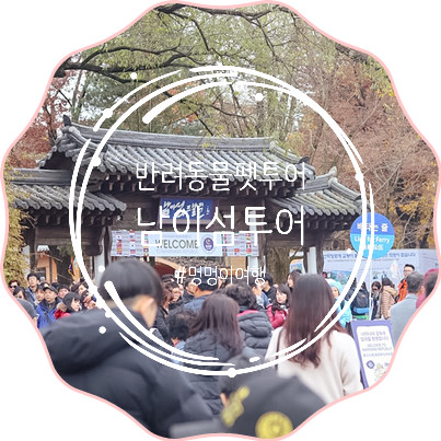 애견동반 펫투어 :: 반려동물과 함께 남이섬 다녀왔어요