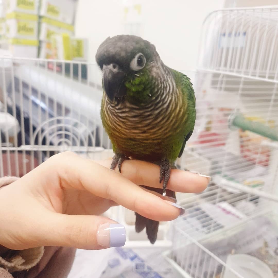 귀여워...💕