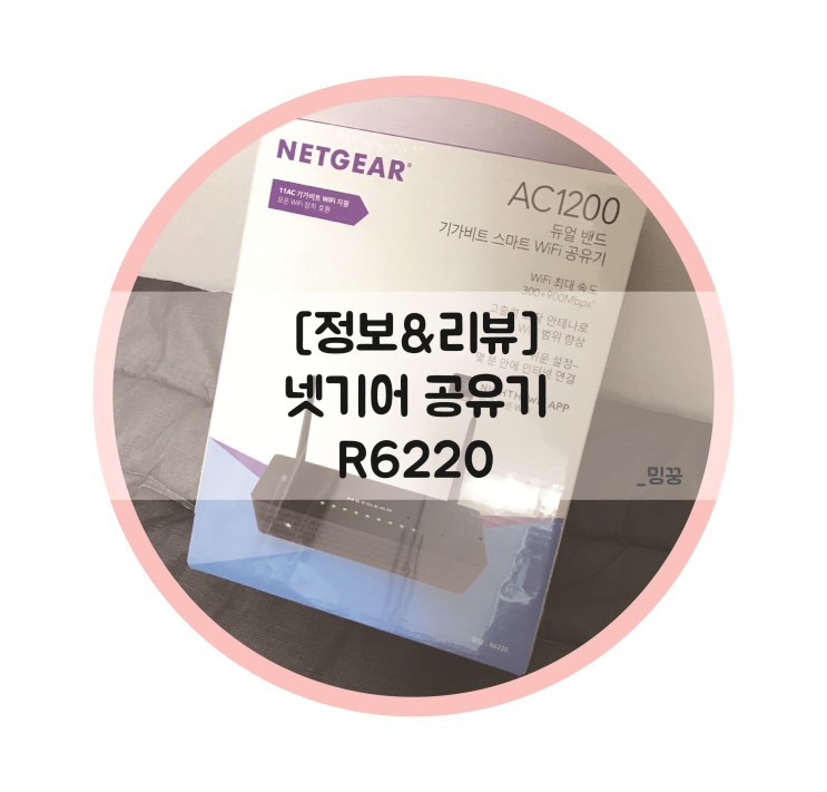 [정보/리뷰] 무선공유기 넷기어 R6220