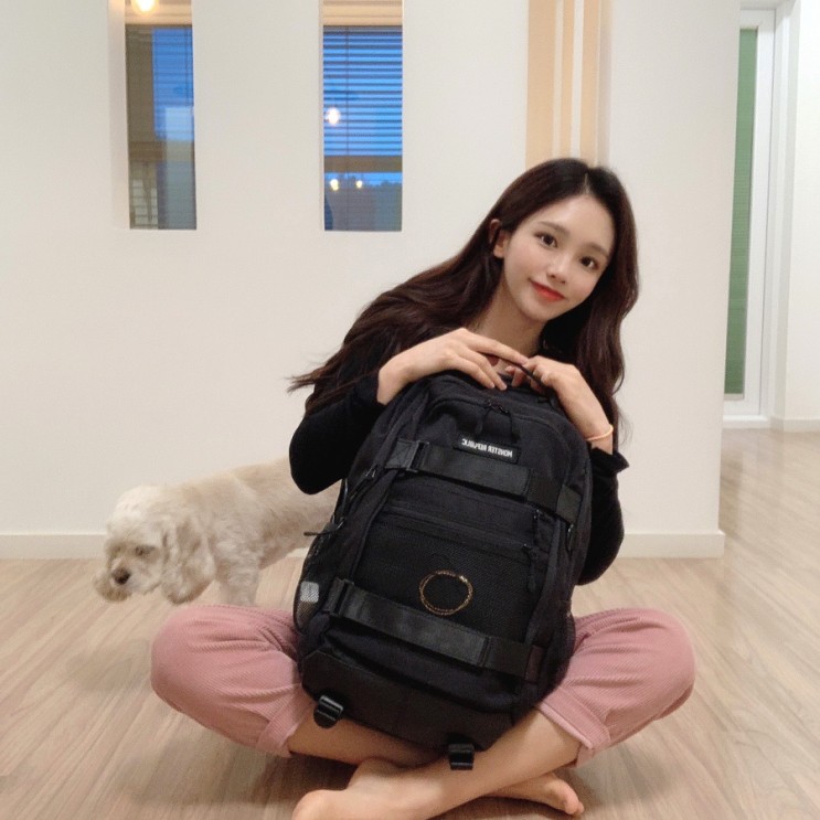 현정이의 인생가방..ㅎ (몬스터리퍼블릭 무브먼트 백팩 / 블랙)