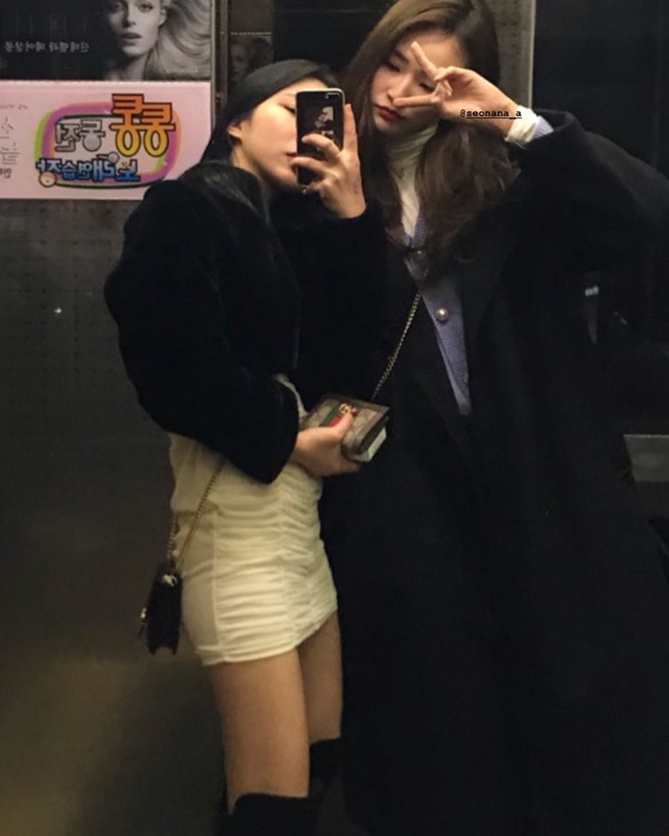 탕 놓으면 코로나 뇸 🤍