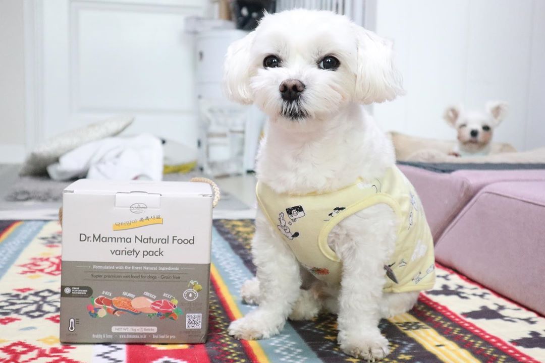 Audrey Shin on Instagram: “생각이상 좋은 제품 🐶 - 하늘아래 같은 댕댕이 맘마는 없고요? 재숙이 입양가기전에 맛있는 한끼가 내 목표인데 습식사료로 닥터맘마를 만나봤음 수의사가 제법 잘 만든것같음 고기와 야채/채소의 비율이 눈에 보이도록 작은 알맹이로 수분가득하게 들어있고…”