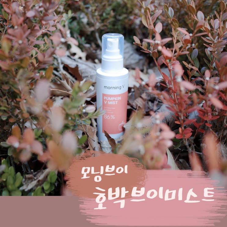모닝브이 | 호박브이미스트 촉촉한 수분 미스트 추천