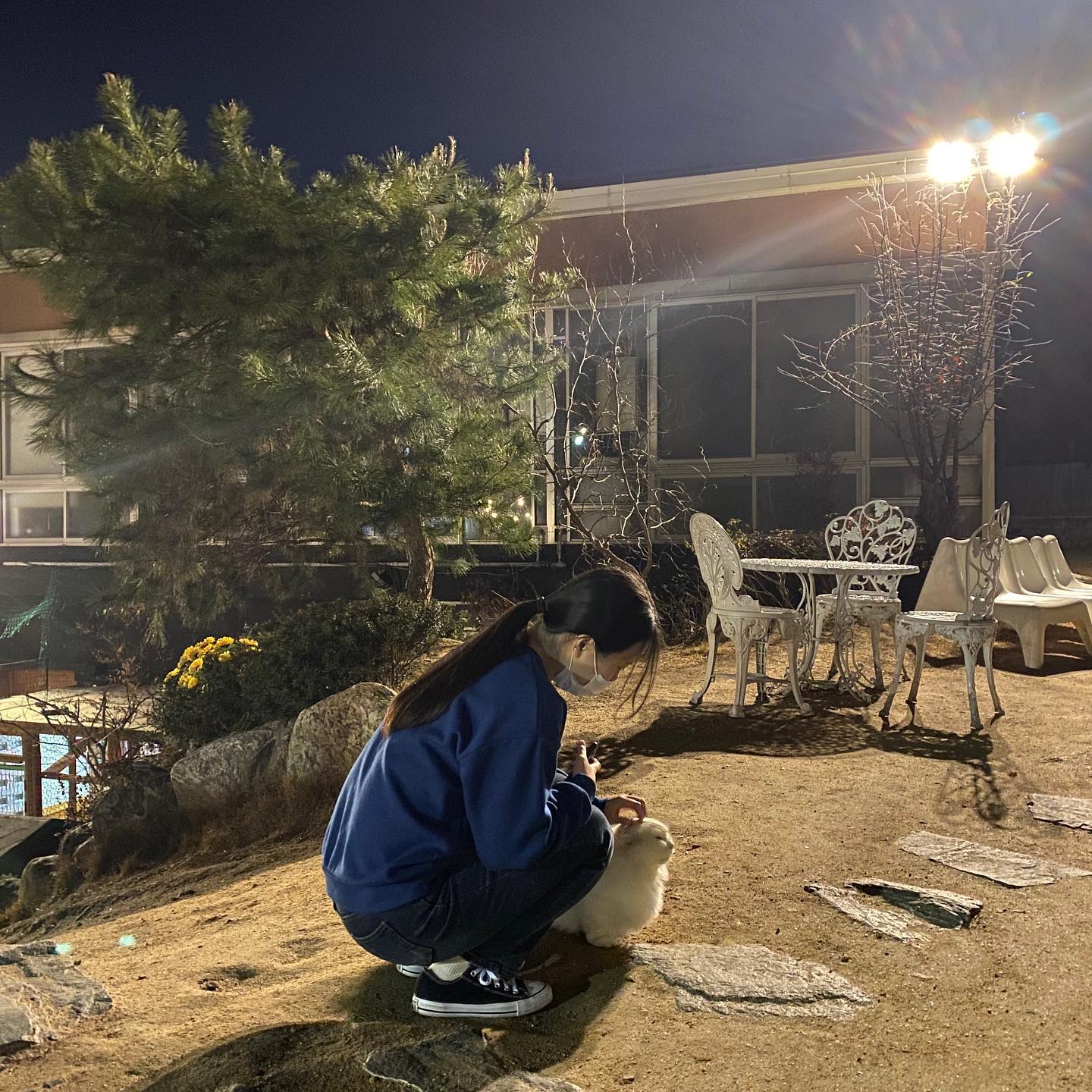 애옹이들 천국에 또 치이고 싶다
.
.
.
.
.

#고양이 #고양이카페 #고양이정원