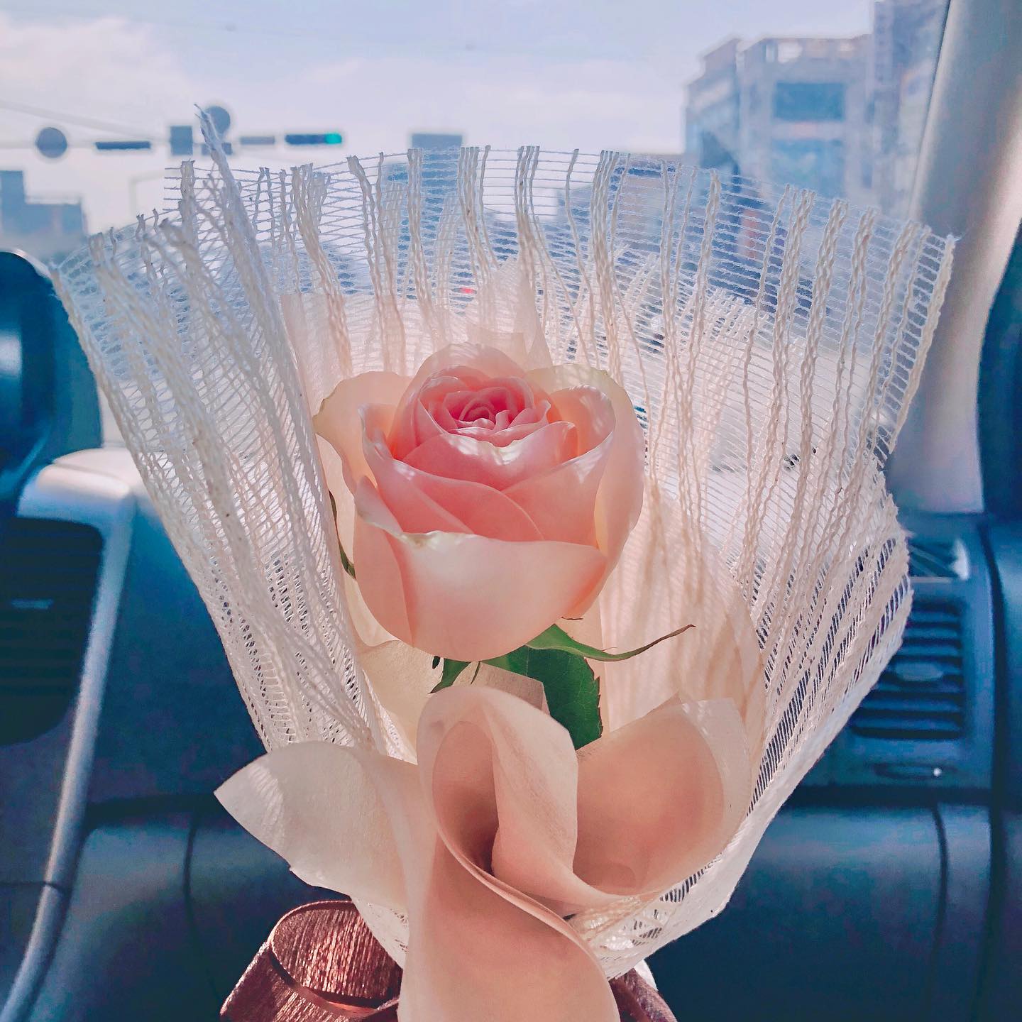 .
기분 꽃같네🌷