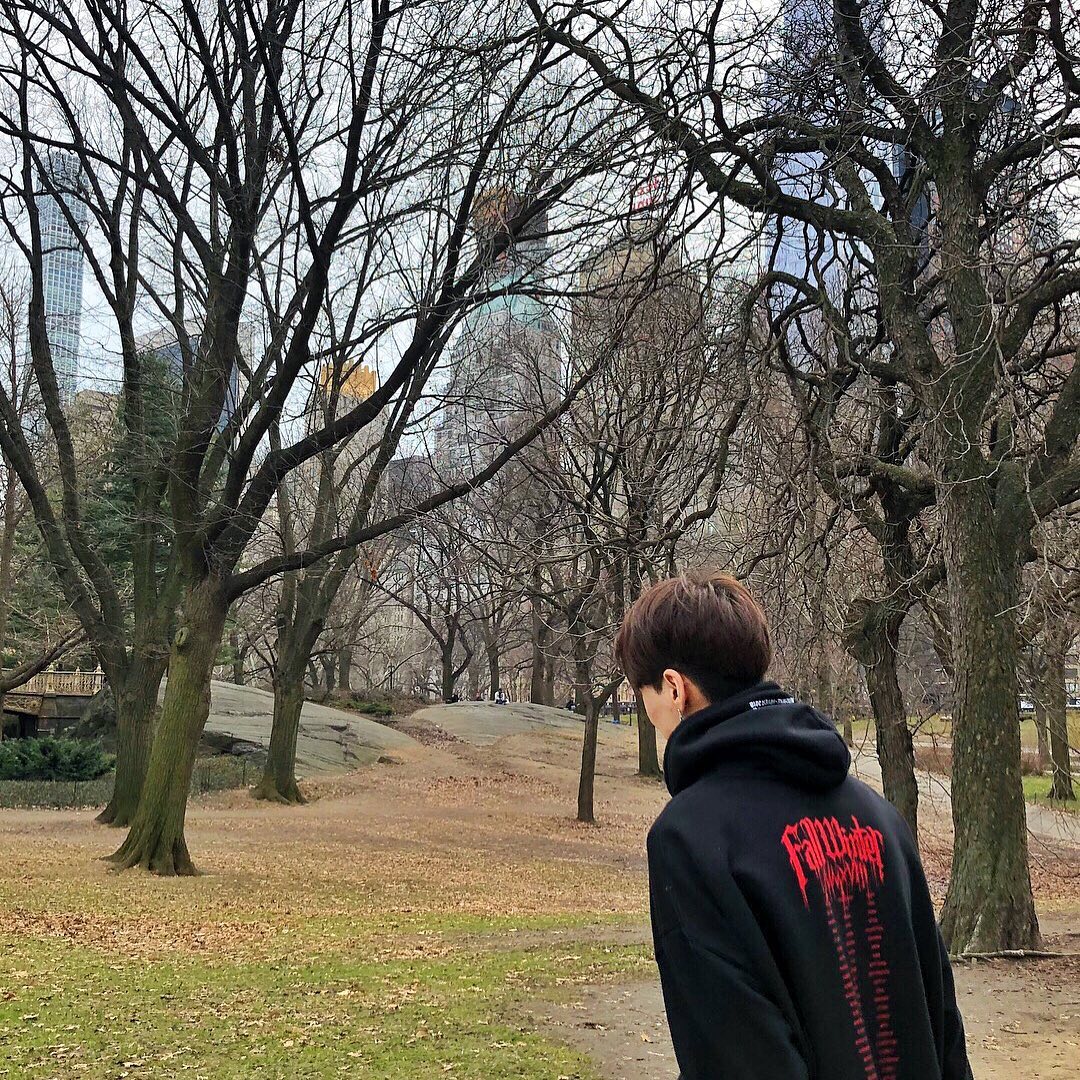 콘텐츠