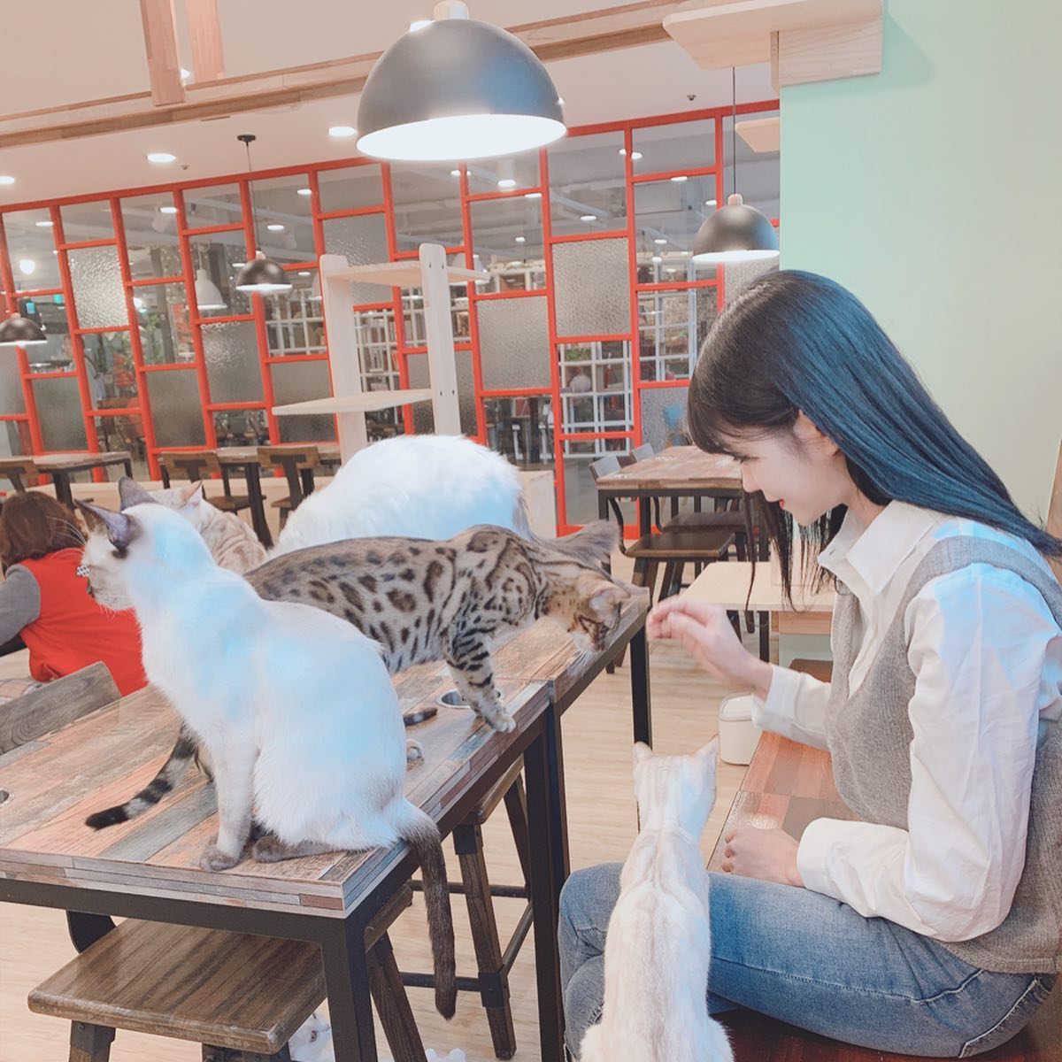 콘텐츠