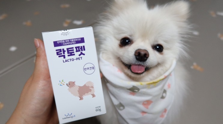 [협찬영상]강아지 유산균 웰빙엘에스 락토펫 락토펫 강아지 장건강 유산균 먹어보기!
