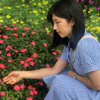 붓기제거 영양제 버블레스 센시라인 솔직후기 + 2주 섭취
