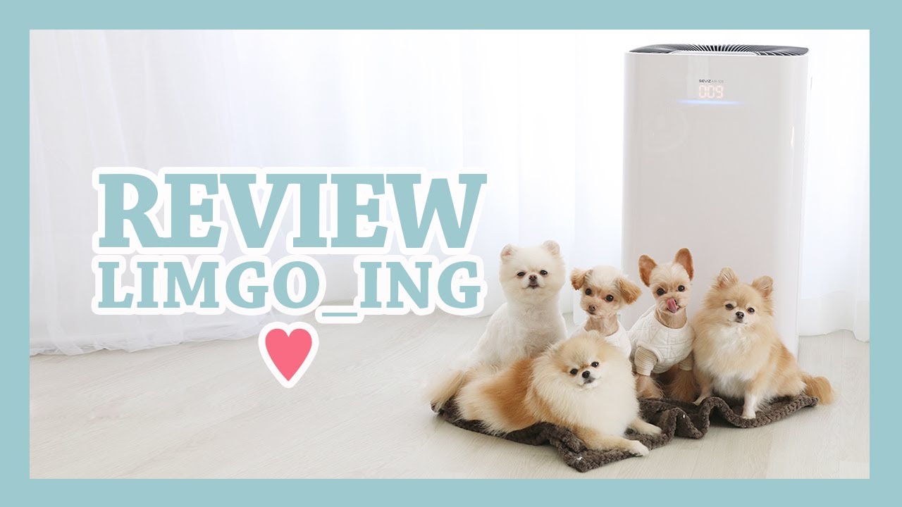 REVIEW / 초미세먼지까지 꺼져! 다견가정에서 쓰는 공기청정기 리뷰 ( 강아지 다둥이집 맘마시간, 바네스데코 세비즈 30평형 실내 공청기 언박싱 ) / LIMGOING