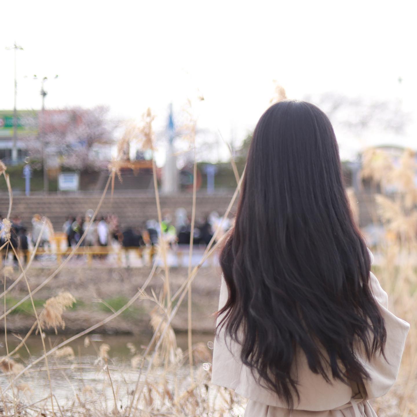 .
갈대같네 :)
