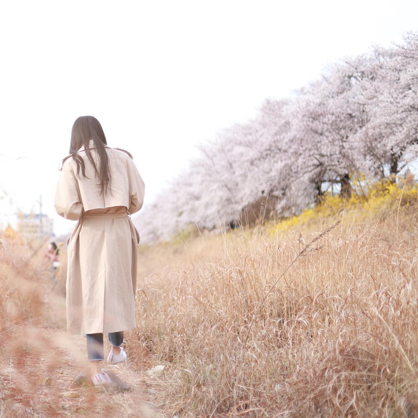 .
🌸