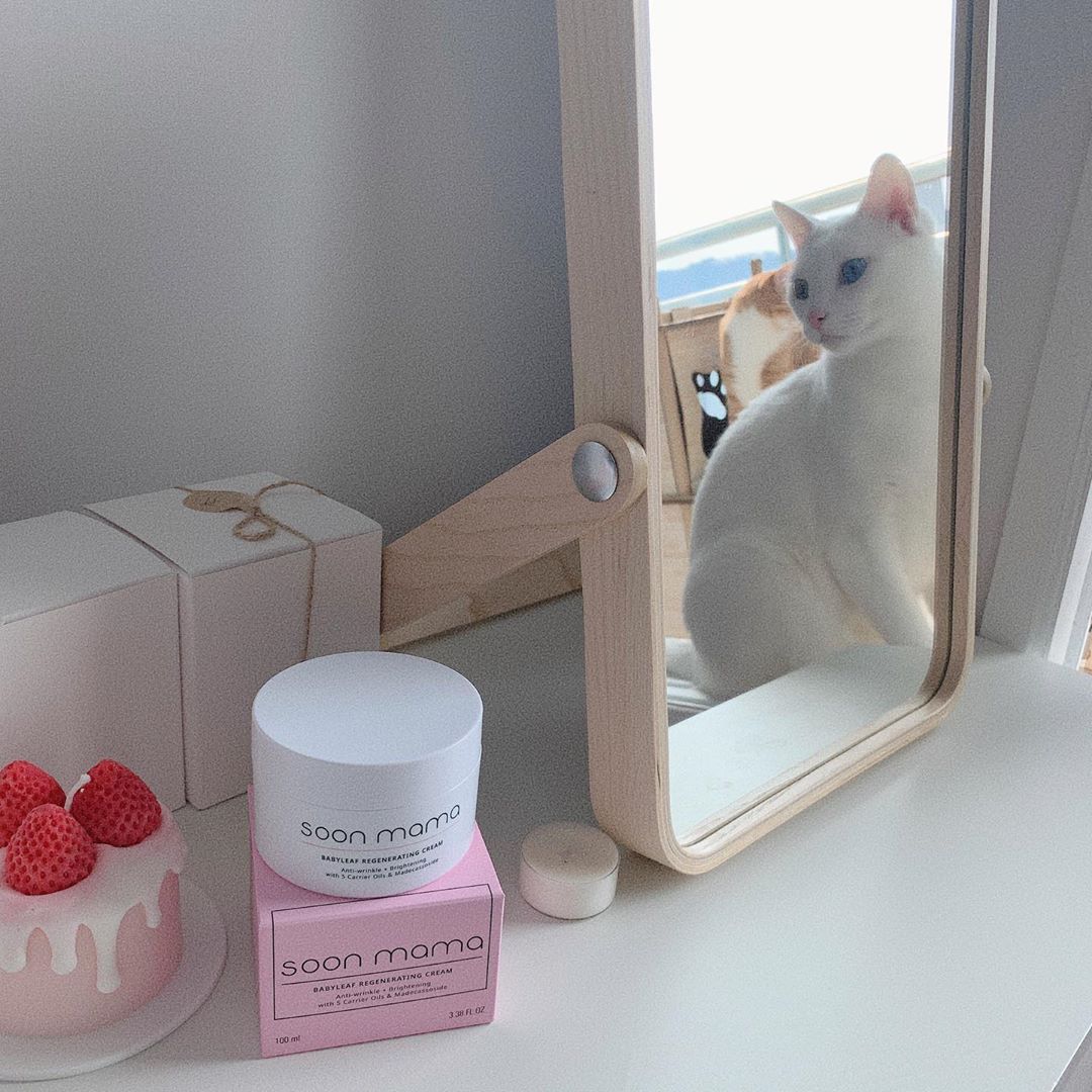 이아용 on Instagram: “순마마 새싹 리제너레이팅 크림💖 우선 성분이 완전 자연자연해요,,, 그래서 더 맘놓고 쳐발쳐발... 제형은 진짜 쬰쬰,,, 달팽이크림이랑 비슷한 제형? 보습감이 진짜 좋아서 자기전에 듬뿍 바르면 담날 피부 초크초크,,,,,🌸…”