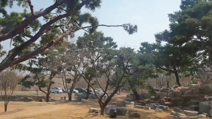 원주브런치카페를 찾고 계신다면? 사니다카페 강추!