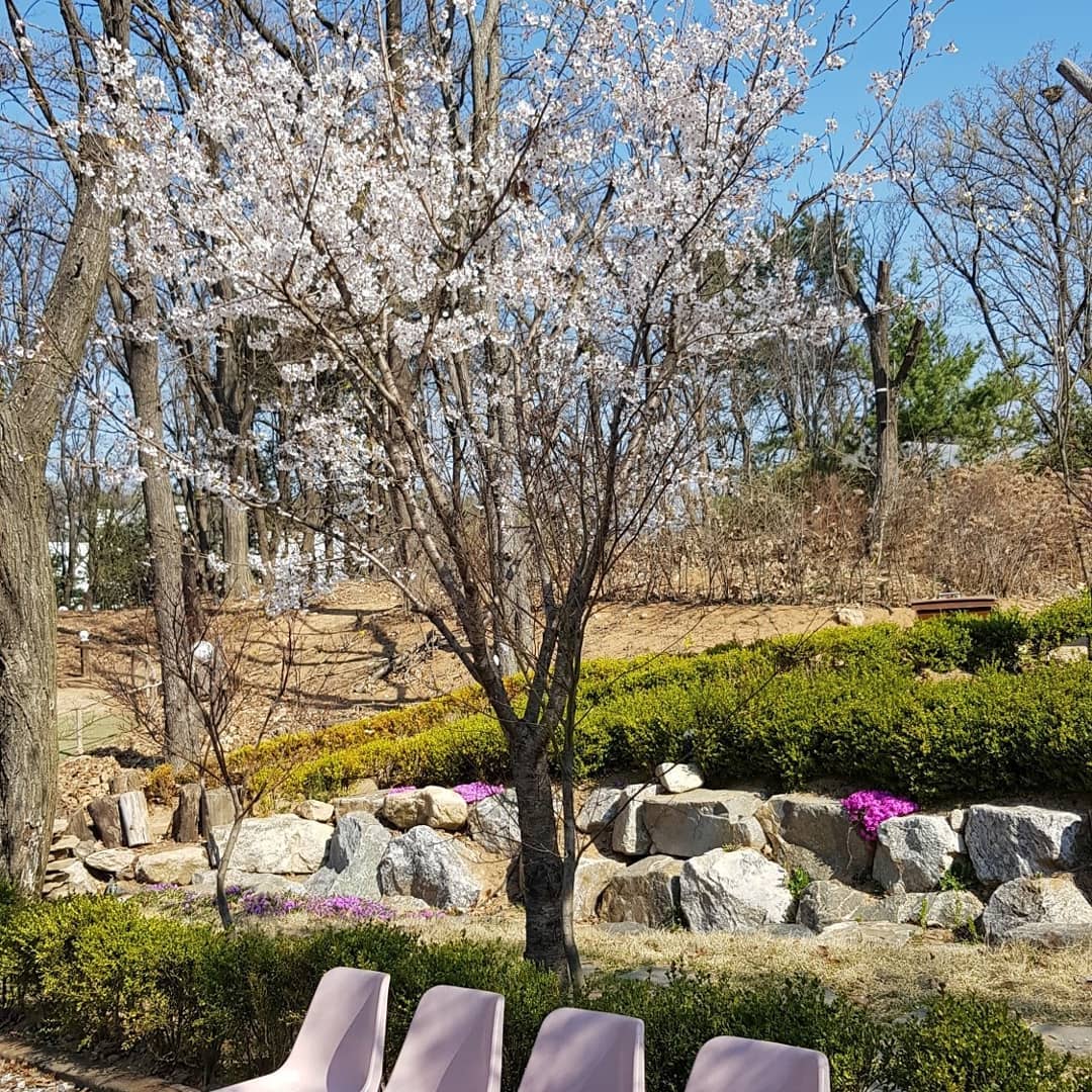 #서울근교카페 #의정부 #오크힐
예쁜 꽃들 사이로 산책하기도 좋고
아름다운 뷰와 분위기 갑으로
힐링도 되고 인생화보 사진찍기도
정말 좋아요
⠀
직접 로스팅한 커피, 수제호두파이도
맛있어 브런치 아지트!!!
주말 가족나들이 장소로 강추~
⠀
#의정부카페, #의정부카페추천, #장암동카페,
#장암동카페추천 #울근교카페추천,
#오크힐, #오크힐커피, #오크힐카페,
#카페오크힐, #오크힐스테이크하우스,
#오크힐빵공장 #인생카페 #의정부예쁜카페
#인싸성지카페