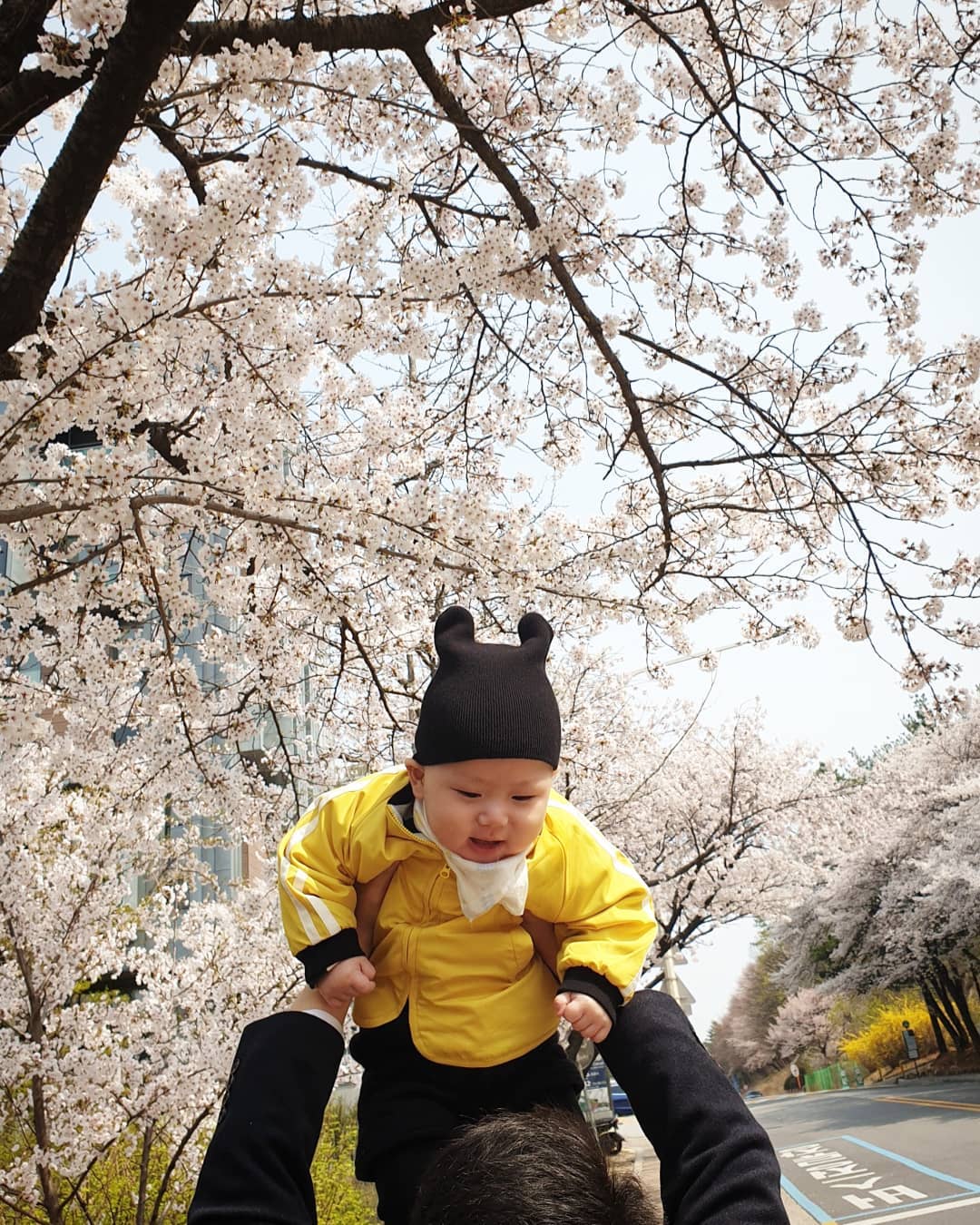 2020.4.11.
#생후290일
.
남들 다 찍는 벚꽃이랑 유호도 한컷~
.
코로나 때문에 이번 봄은 만끽하지 못했지만 내년 봄에는 도시락 싸들고 꽃놀이하러가자~♡
.
#무거워서높이들기힘듬 #아들램이 #인생첫봄🌸 #8개월아기 #밀린육아일기
