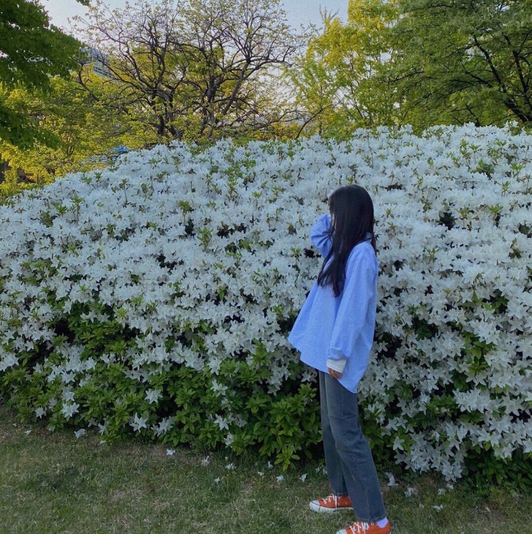 날시조오타