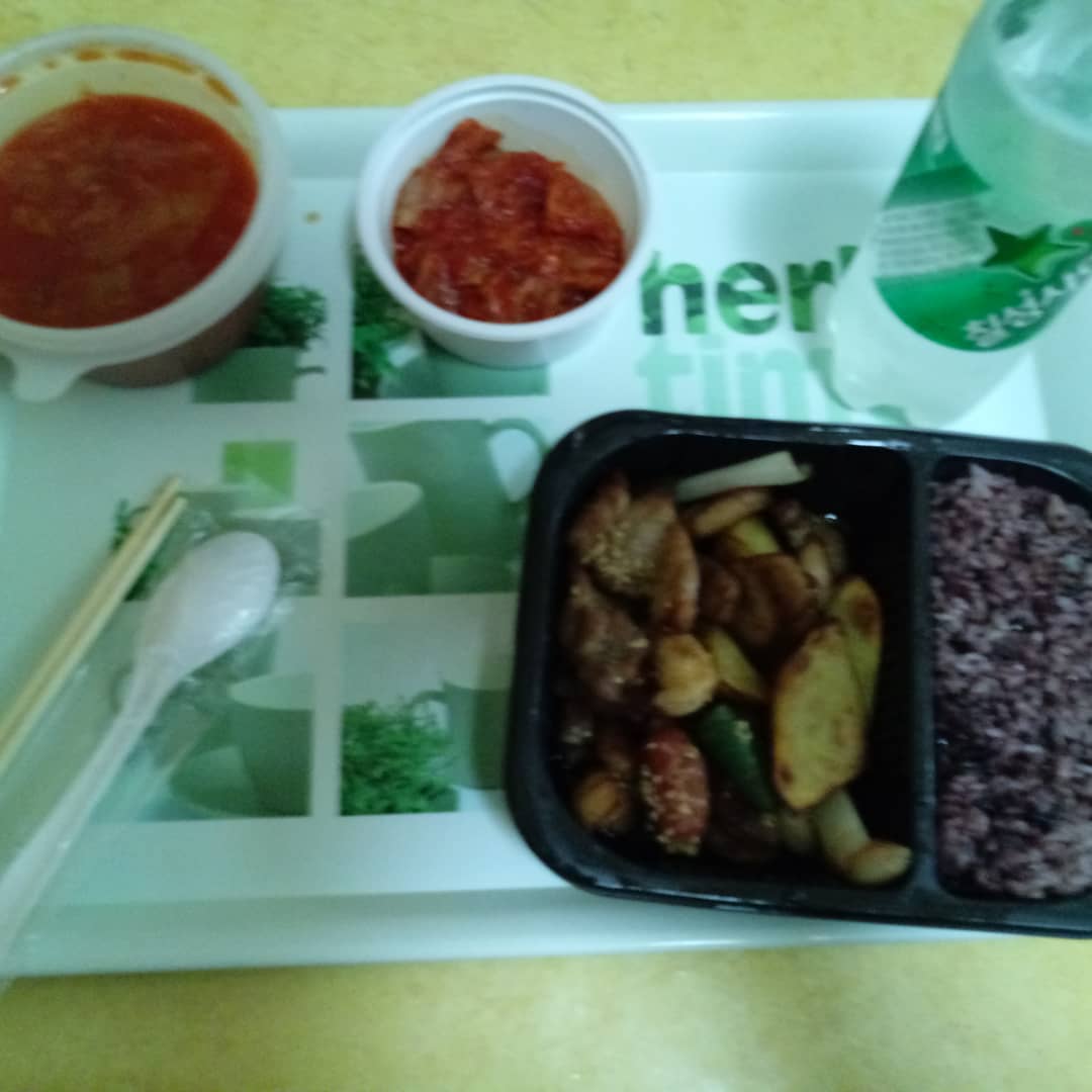 비행돼지