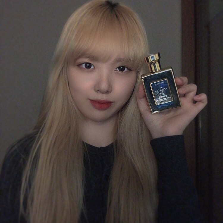 ꧁강인선꧂ on Instagram: “전 세계 0.1% 마스터 퍼퓨머가 조향한 포맨트 코튼 썩세스! 금빛의 영로