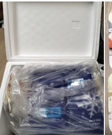 마이비밀 컬리블라썸 도시락, 다이어트에두 건강관리에두 짱짱 ❤️👍🏻
