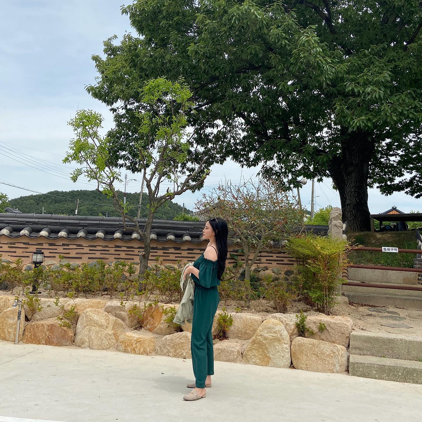 아파죽어도 출근,,