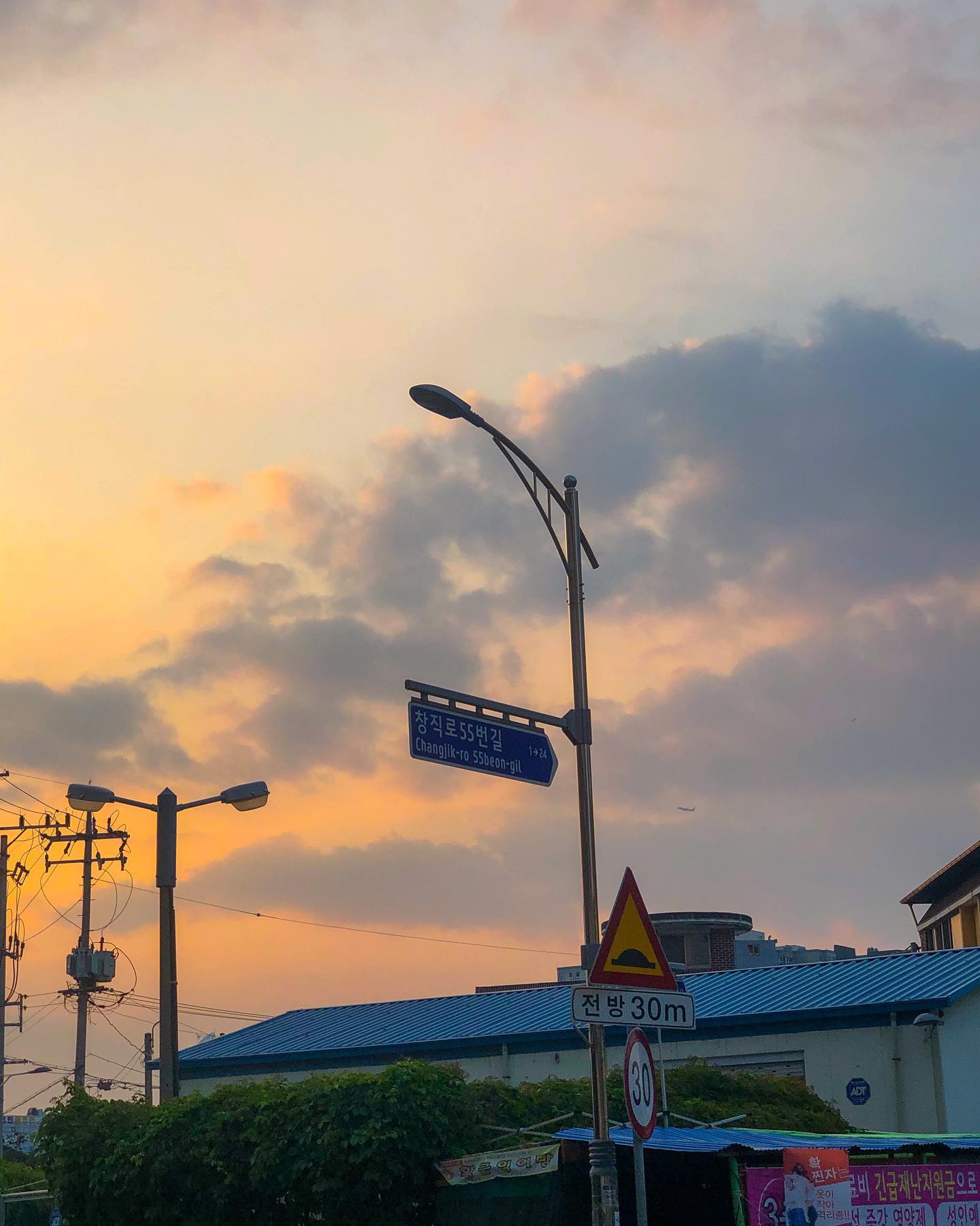 콘텐츠