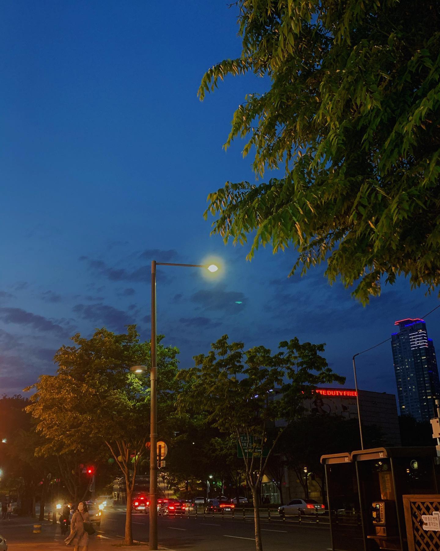 🌃