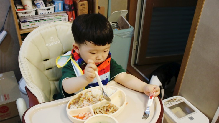 푸드트리 아기반찬 뚱콩스컴퍼니 내가 찾던거야!